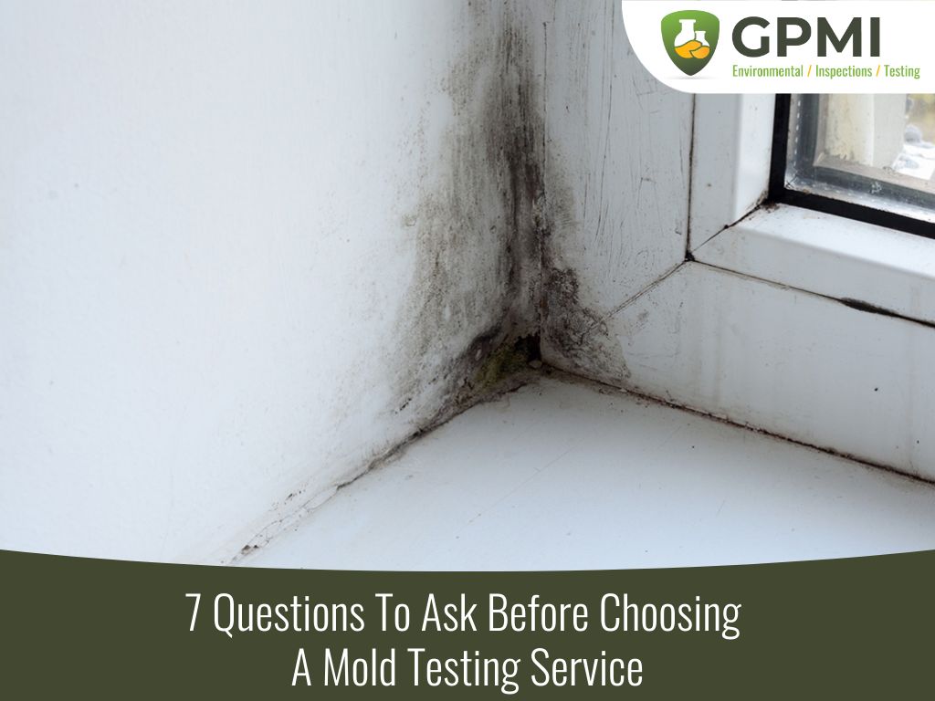 Questions To Ask Before Choosing A Mold Testing Service