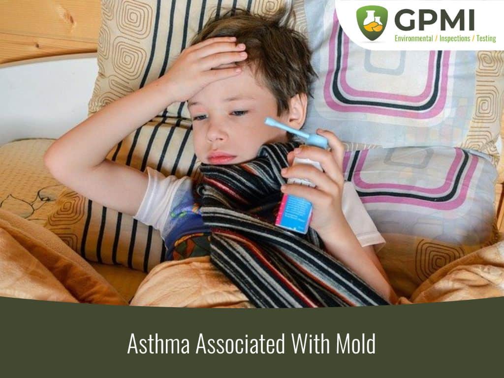 Asthma Associated With Mold