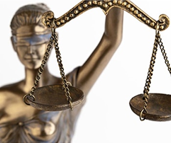 Californias-New-Mold-Law Image Law Image