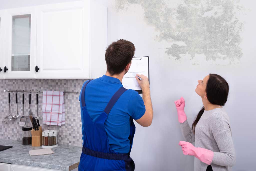 Indoor Mold Inspection With Homeowner