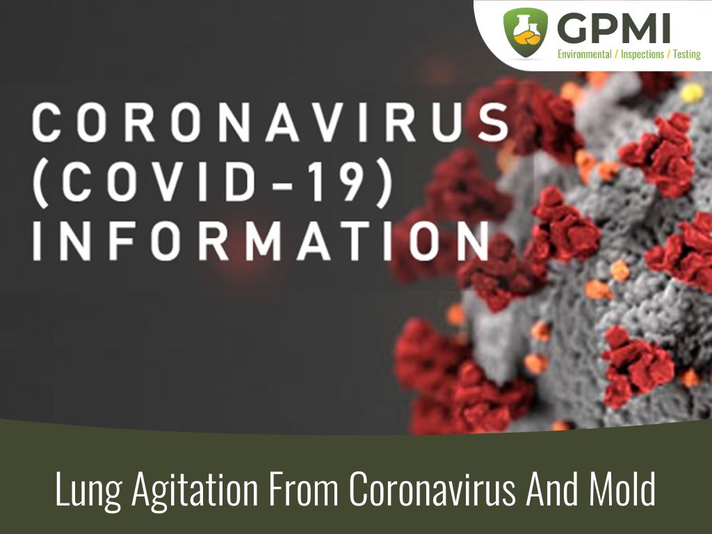 Lung Agitation From Coronavirus And Mold