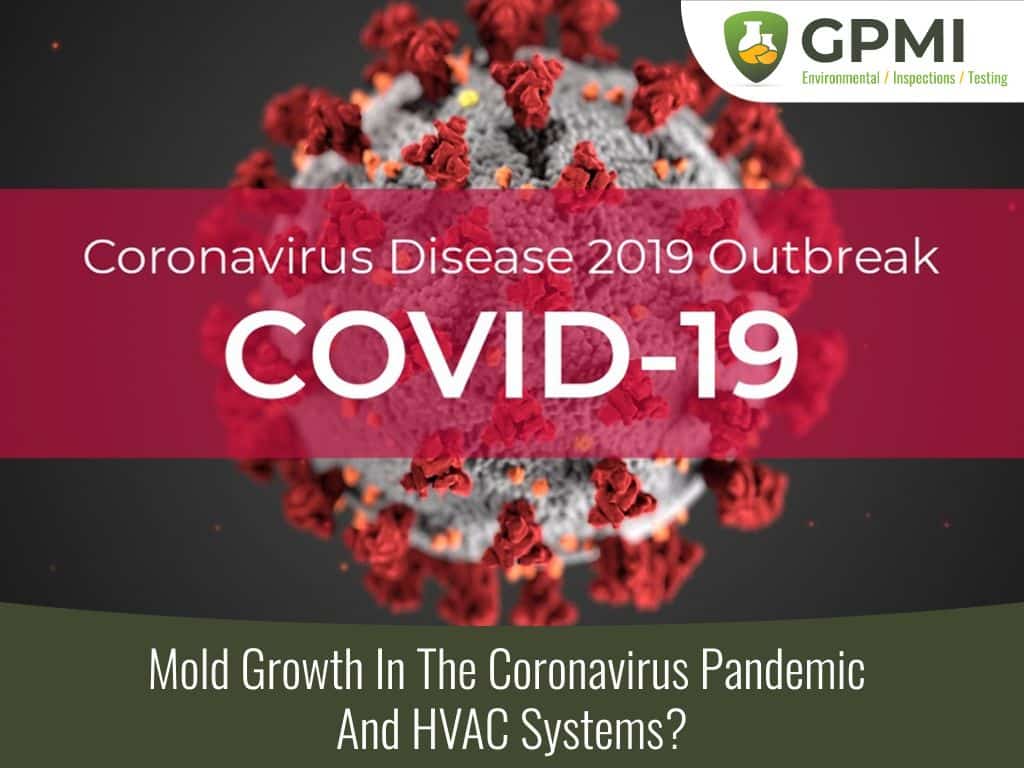Mold Growth In The Coronavirus Pandemic