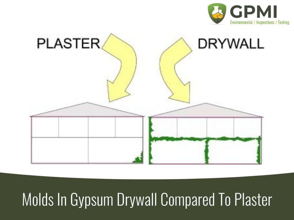 Molds In Gypsum Drywall Compared To Plaster