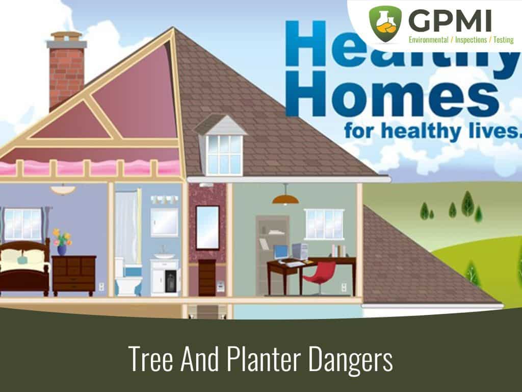 Tree And Planter Dangers
