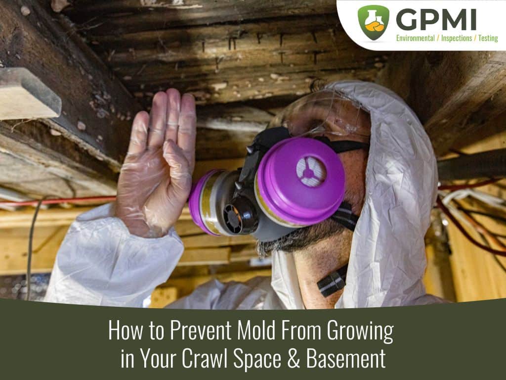 How To Prevent Mold In Basement Crawlspace