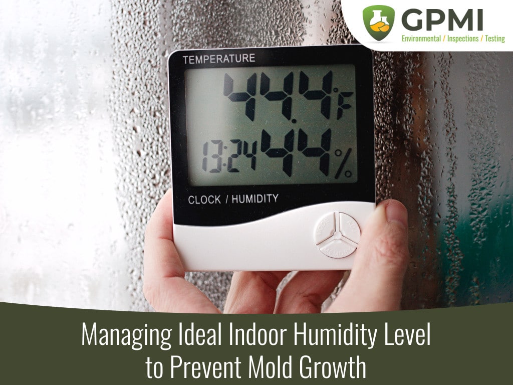 Managing Ideal Indoor Humidity Level to Prevent Mold Growth - GP