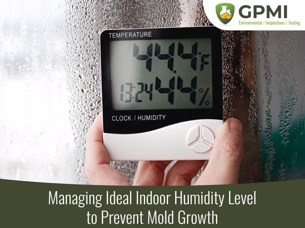 how reducing humidity levels can prevent mold growth