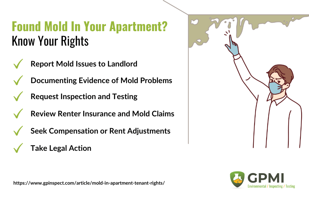 mold in apartment tenant rights infographic