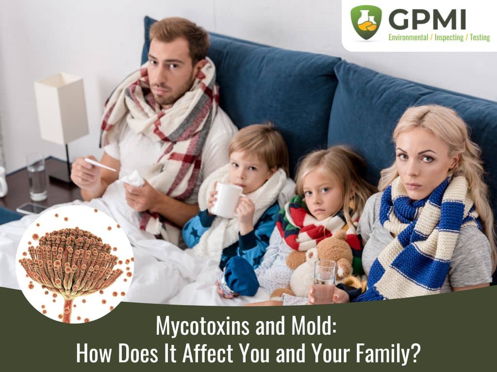 Mycotoxins And Mold How Does It Affect You And Your Family