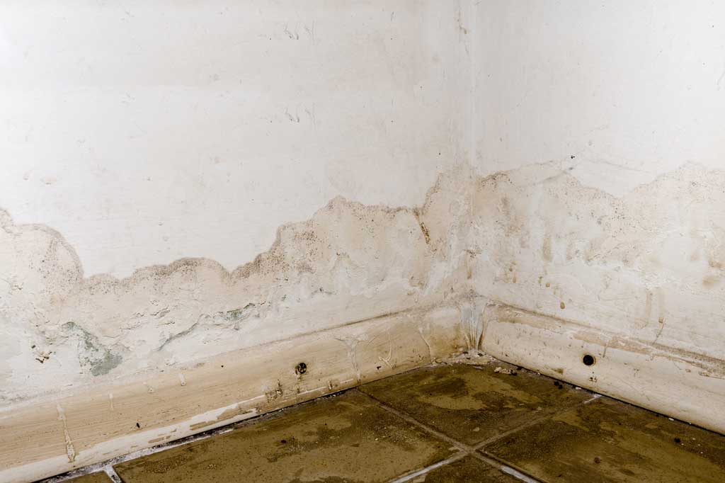 flooded basement water damage mold