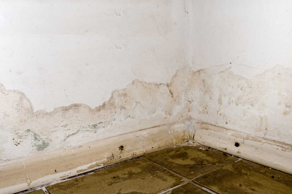 Flooded Basement Water Damage Mold