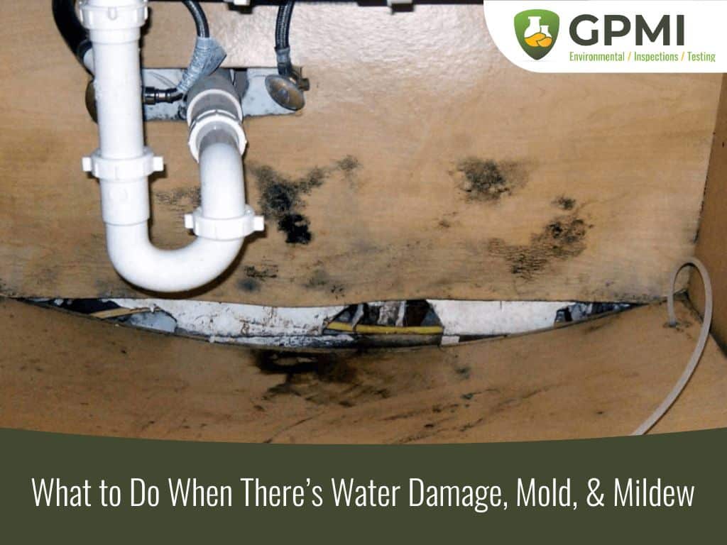 mold growth due to water damage