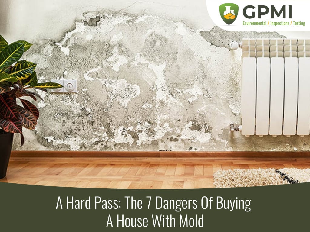 7 dangers of buying house with mold