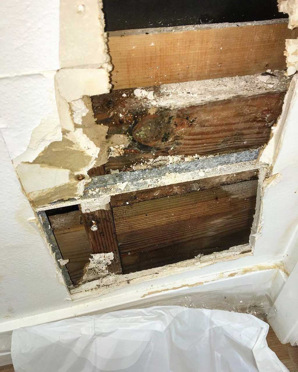 How to Prevent Mold From Growing in Your Basement and Crawl Space 2