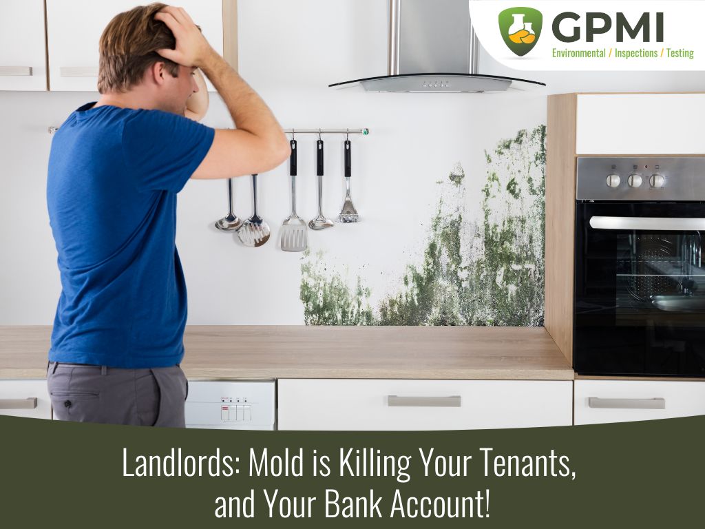 Mold In Apartment Landlords Tenants Issue