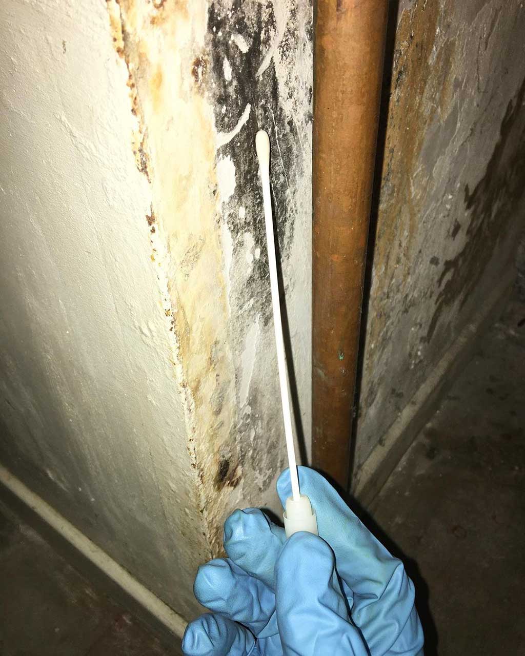 How to Prevent Mold From Growing in Your Basement and Crawl Space 3