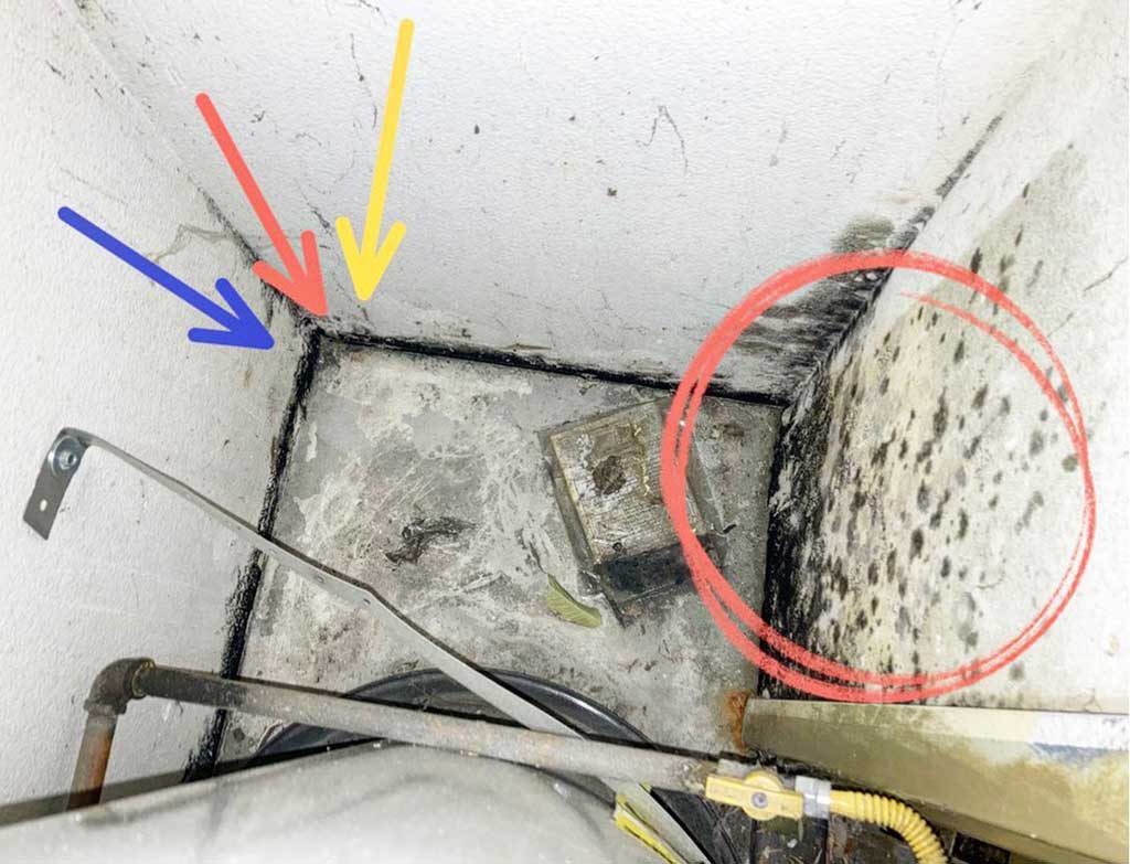 water heater leak mold growth