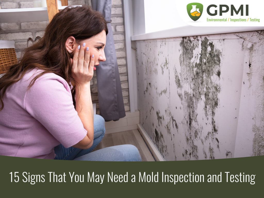 15 Signs You Need Mold Inspection And Testing
