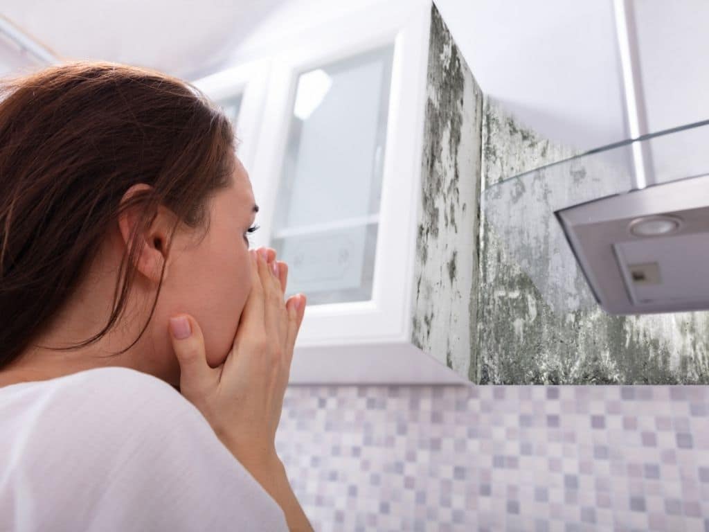 notify your landlord about mold problems