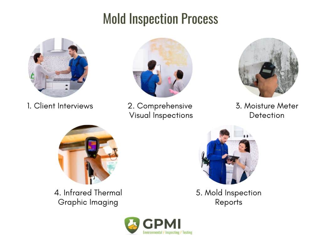 Golden State Mold Inspections in Long beach