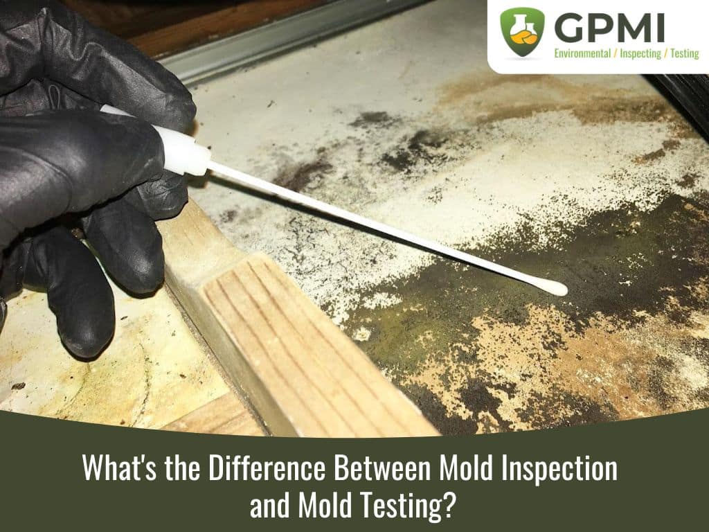 What'S The Difference Between Mold Inspection And Mold Testing?