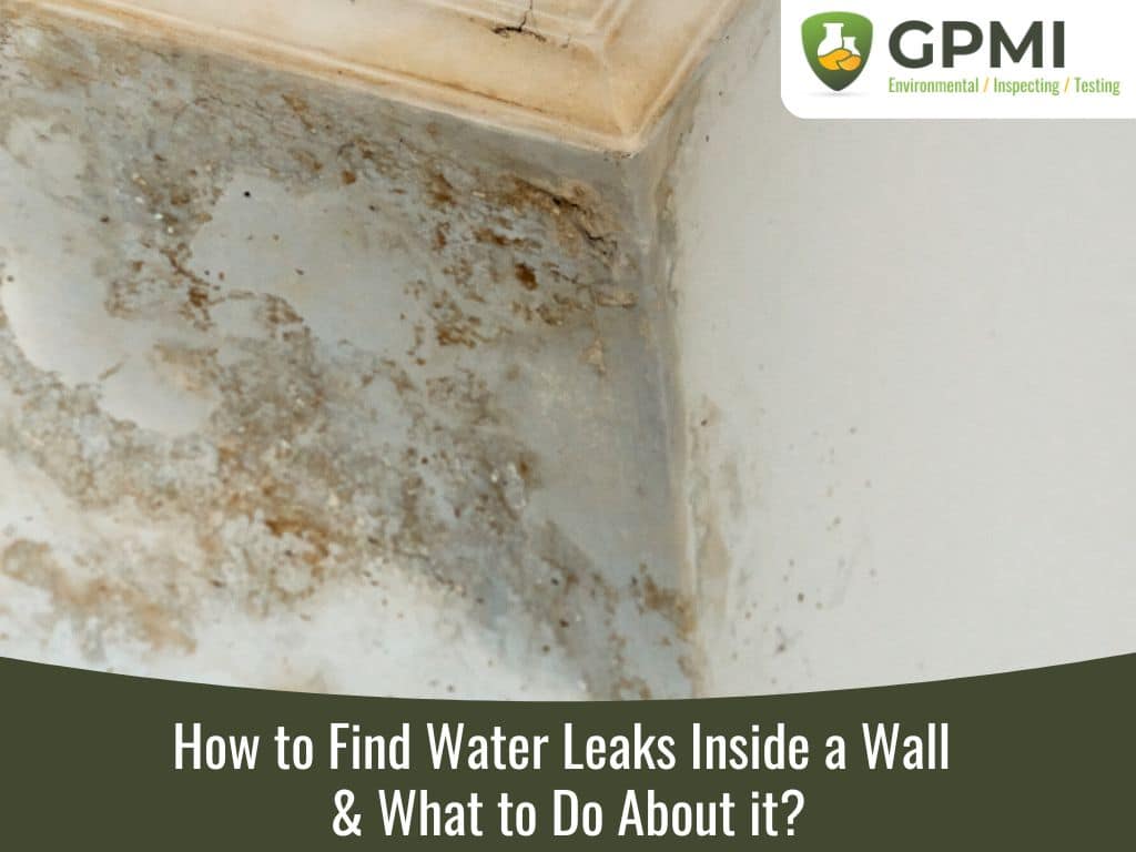 find water leaking from walls