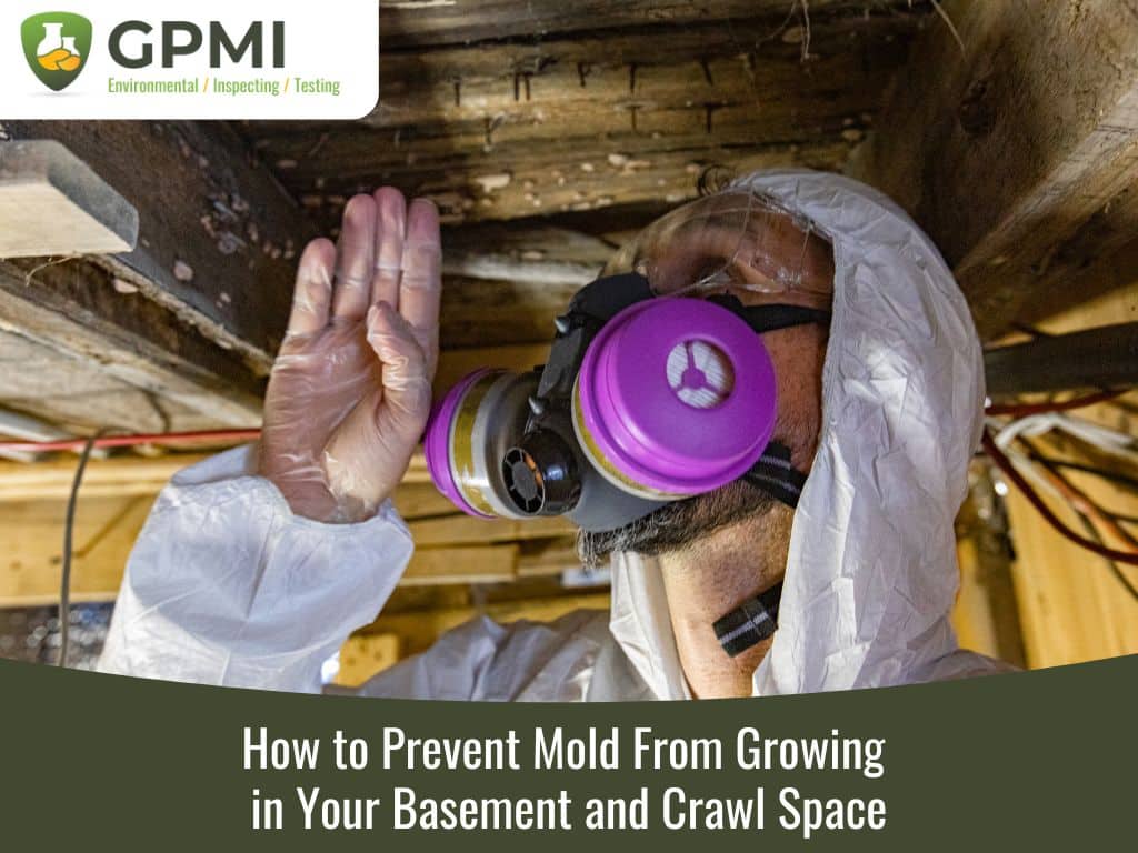 How to Prevent Mold From Growing in Your Basement and Crawl Space