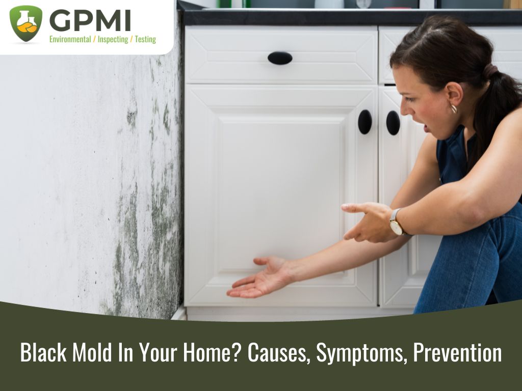 Black Mold In Your Home? Causes, Symptoms, Prevention