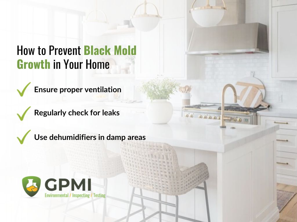 Black mold exposure: Symptoms, treatment, and prevention