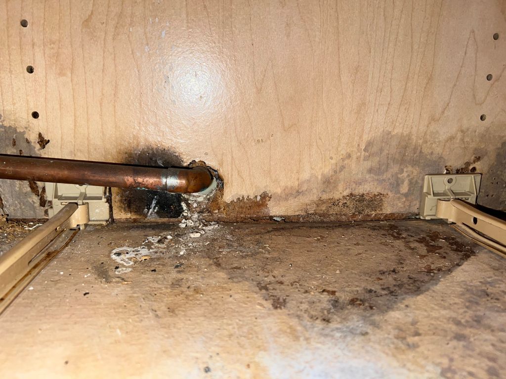 Black Mold in Houston: Signs, Symptoms, and Risk Factors