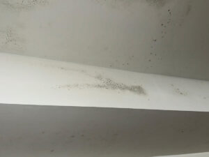 Newport Beach Luxury Home Sewage Backup Mold Inspection 8 White Ceiling Showing Patches Of Mold, Indicating Potential Moisture Issues In The Room.
