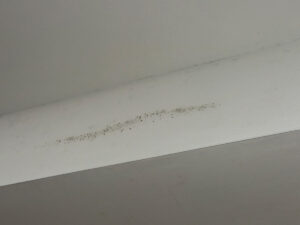 Newport Beach Luxury Home Sewage Backup Mold Inspection 7 White Ceiling Showing Patches Of Mold, Indicating Potential Moisture Issues In The Room.