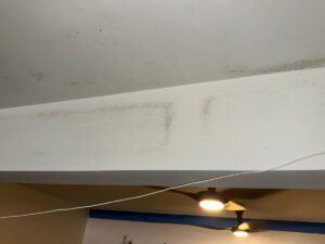 Newport Beach Luxury Home Sewage Backup Mold Inspection 4 White Ceiling Showing Patches Of Mold, Indicating Potential Water Damage Or Poor Ventilation In The Space.