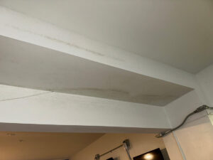 Newport Beach Luxury Home Sewage Backup Mold Inspection 6 Ceiling Showing Visible Mold Growth With A Closed Door In The Background.