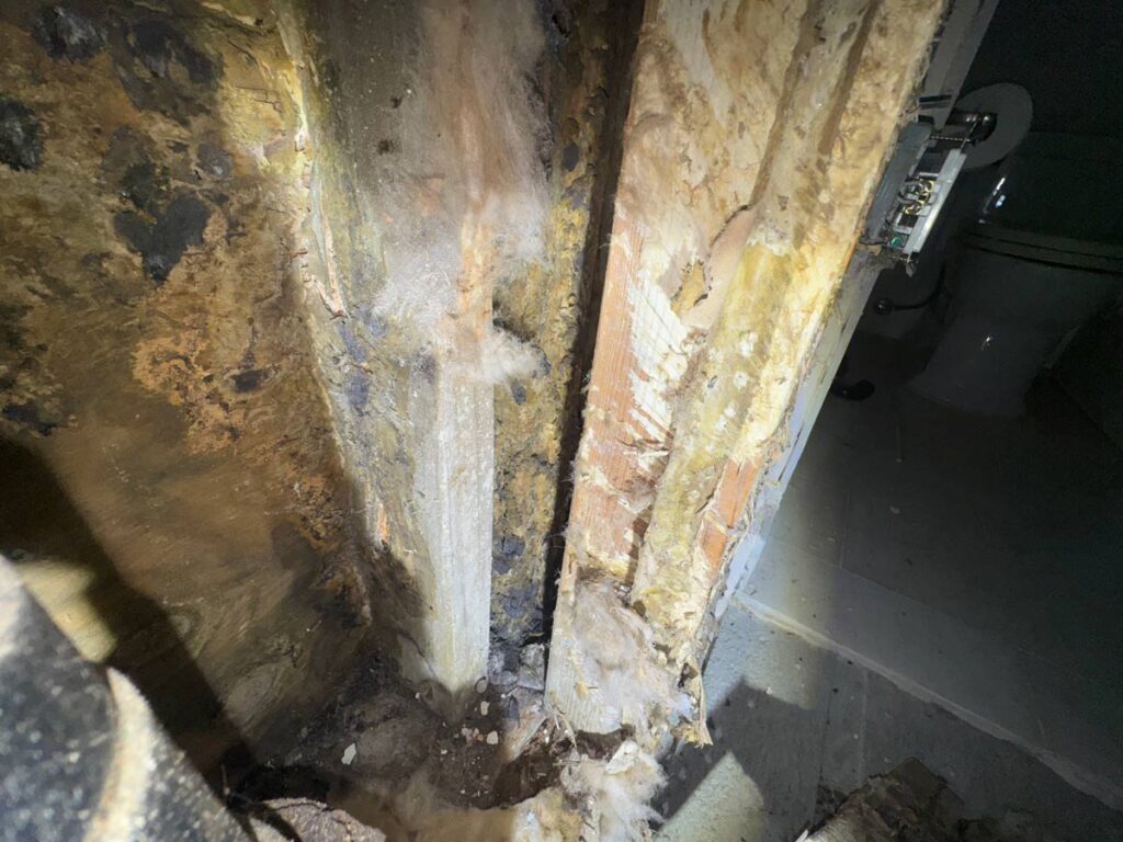 Laguna Beach Property – Structural Mold Species Identification 12 Close-Up Of Moldy Wall Framing And Deteriorating Wood, Indicating Water Damage In A Dimly Lit Bathroom Setting.