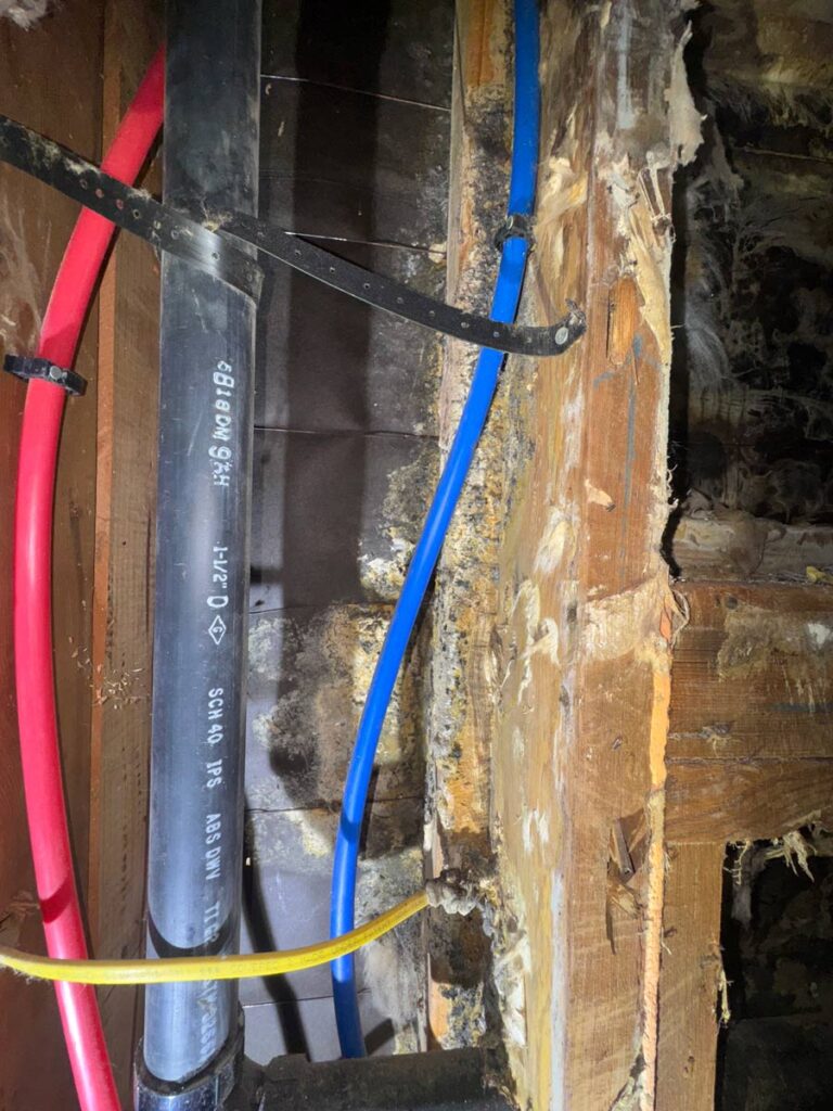 Laguna Beach Property – Structural Mold Species Identification 10 Close-Up Of Plumbing Pipes: Red, Blue, And Yellow Plastic Pipes Are Secured To Wooden Beams In A Dimly Lit Space.