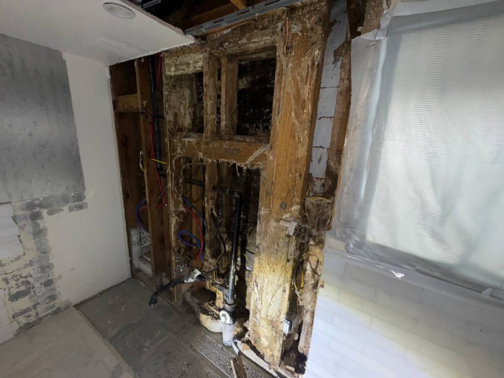 Laguna Beach Property – Structural Mold Species Identification 9 Dilapidated Wall Section With Exposed Plumbing And Electrical Wiring, Showing Mold And Damage From Water Exposure During Renovation.