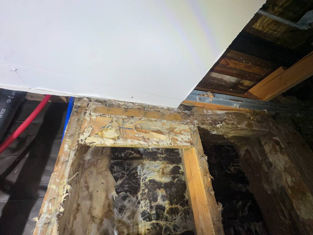 Laguna Beach Property – Structural Mold Species Identification 5 The Image Shows A Close-Up Of A Ceiling Corner With Exposed Wooden Beams And Signs Of Mold And Damage In The Surrounding Area.