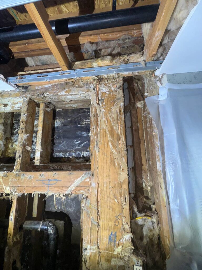 Laguna Beach Property – Structural Mold Species Identification 3 Exposed Wooden Beams And Insulation Show Signs Of Damage In An Unfinished Space, With Pipes And Markings Visible On The Wood.
