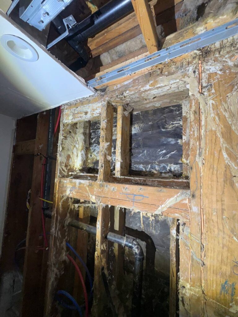 Laguna Beach Property – Structural Mold Species Identification 4 Exposed Wooden Beams In A Wall Showing Signs Of Water Damage, With Pipes And Electrical Wires Visible In A Dimly Lit Space.