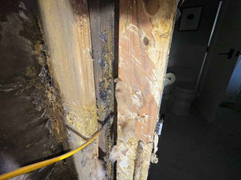 Laguna Beach Property – Structural Mold Species Identification 2 Deteriorating Wooden Beams Show Extensive Mold And Moisture Damage, With A Bathroom Visible In The Background.