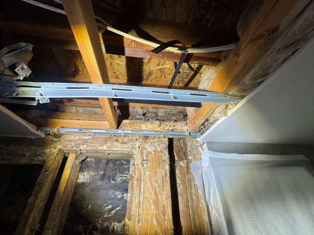 Laguna Beach Property – Structural Mold Species Identification 1 Interior View Of A Roof Framing, Showing Exposed Wooden Beams, Metal Tracks, And Insulation, Illuminated By Artificial Light.
