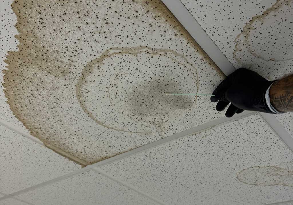 Mold In Office Ceiling